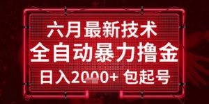 六月最新技术全自动暴力撸金,稳定日入2k+包起号,长期稳定【揭秘】-风淘社