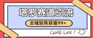 小红书某音塔罗赛道引流获客 自热矩阵日引200+【揭秘】-风淘社
