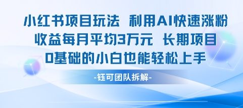 适合小白操作的小红书新项目，利用AI快速涨粉，收益每月平均1W+-风淘社