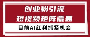 小红书某音创业赛道引流获客 自热矩阵日引200+【揭秘】-风淘社
