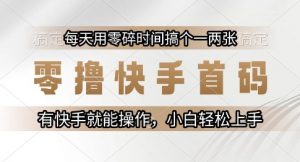 零撸快手首码，每天用零碎时间搞个一两张，有快手就能操作小白轻松上手【揭秘】-风淘社