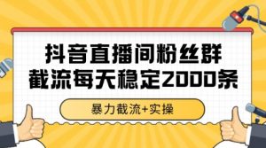 抖音直播间粉丝群暴力截流，一台电脑每天稳定2000条数据【揭秘】-风淘社