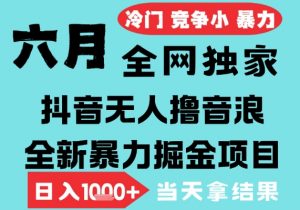 2025年6月高爆抖音无人直播最新撸音浪掘金项目,无脑日入1k+,低门槛小白可做,可矩阵放大【揭秘】-风淘社
