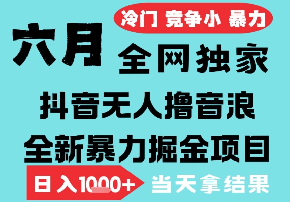 2025年6月高爆抖音无人直播最新撸音浪掘金项目,无脑日入1k+,低门槛小白可做,可矩阵放大【揭秘】-风淘社