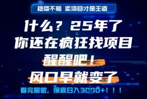 什么?25年你还在疯狂找项目做,醒醒吧,看完这些你全都懂了!【揭秘】-风淘社