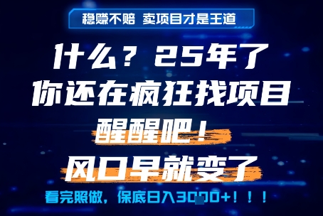 什么?25年你还在疯狂找项目做,醒醒吧,看完这些你全都懂了!【揭秘】-风淘社