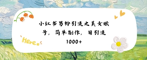 小红书男粉引流项目之美女账号6，简单制作，条条爆款原创，不违规-风淘社
