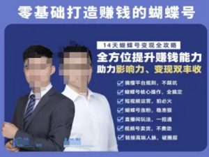 蝴蝶号专栏-视频号运营教程,零基础打造挣钱的蝴蝶号,14天蝴蝶号变现全攻略-风淘社