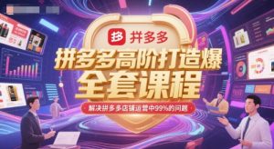 拼多多高阶打造爆款全套课程,解决拼多多店铺运营中99%的问题-风淘社