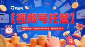 【视频号托管 】我提供视频，你每天花5分钟发布，最高躺挣2W+【揭秘】-风淘社