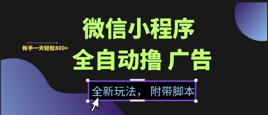 微信小程序全自动撸广告项目,彻底解决没流量的问题,新手一天8张+【揭秘】-风淘社