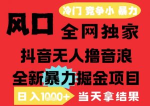 25年6月高爆抖音无人直播最新撸音浪掘金项目,解放双手小白可做,无脑日入1k+,门槛低【揭秘】-风淘社