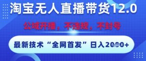 淘宝无人直播带货12.0,最新技术,不封号,不违规,操作简单,开播爆单,日入多张【揭秘】-风淘社