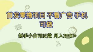 首发零撸项目 不看广告 手机可做 新手小白可以做  月入3k+【揭秘】-风淘社