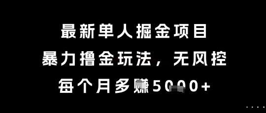 最新单人掘金项目，暴力撸金玩法，无风控，每个月多挣5k+【揭秘】-风淘社