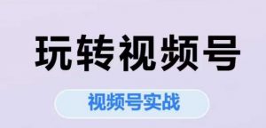 玩转视频号,视频号实战系列课-风淘社