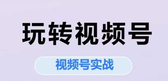 玩转视频号,视频号实战系列课-风淘社