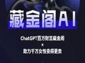 藏金阁AI-私域行动营-AI教程-风淘社