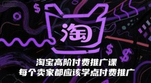 淘宝高阶付费推广课,每个卖家都应该学点付费推广-风淘社