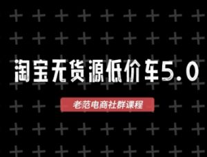 淘宝无货源2025VIP教程,最新的淘宝无货源课程,1688代发,蓝海选品,零成本创业首选-风淘社