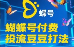 2025蝴蝶号付费投流豆豆打法，助新手快速掌握付费流量撬动自然流的核心玩法-风淘社