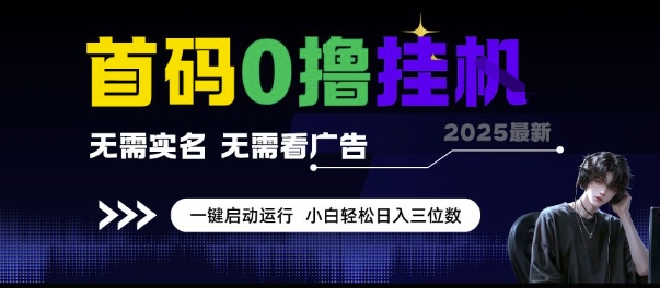 首码0撸挂G项目，无需实名无需看广告 一键启动运行，小白轻松日入三位数【揭秘】-风淘社