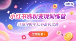 小红书涨粉变现训练营,开启你的小红书盈利之路-风淘社