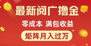 最新阅广撸金项目,零成本满包收益,可矩阵操作,月入过1W【揭秘】-风淘社