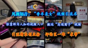 凡视知音:“香车美女”视频引流术,依靠鲜为人知的视频入口,搬运“高端圈子”视频,引流精准创业粉,评论区一堆“求带”-风淘社