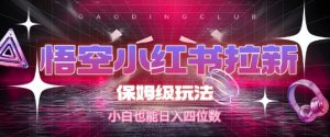 悟空小红书拉新，保姆级玩法，小白也能日入四位数-风淘社