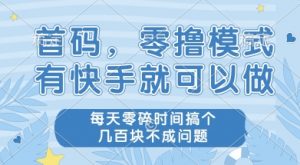 首码零撸项目,有快手就可以做,每天业务时间搞个几张不是问题【揭秘】-风淘社