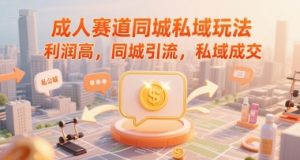 成人赛道同城私域玩法,利润高,同城引流,私域成交-风淘社