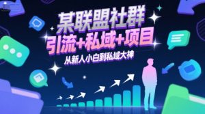 某联盟社群，引流+私域+项目，从新人小白到私域大神-风淘社