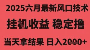 2025六月最新风口技术，无人挂G撸礼物，长期稳定 一个小时收益2k+，小白当天拿结果【揭秘】-风淘社