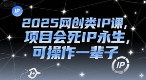 2025网创类IP课，项目会死IP永生，可操作一辈子-风淘社