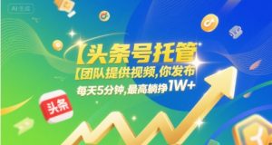 【头条号托管 】团队提供视频,你发布,每天5分钟,最高躺挣1W+【揭秘】-风淘社