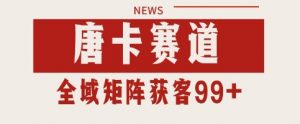 唐卡赛道私域引流获客 自热矩阵SOP日引流99+精准客资【揭秘】-风淘社