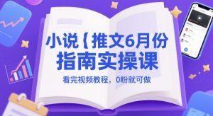 小说推文6月份指南实操课,看完视频教程,0粉就可做-风淘社