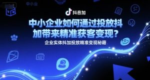 中小企业如何通过投放抖加带来精准获客变现?企业实体抖加投放精准变现秘籍-风淘社
