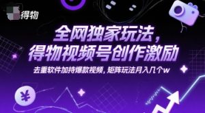 全网独家玩法,得物视频号创作激励 去重软件加持爆款视频,矩阵玩法月入几个w【揭秘】-风淘社