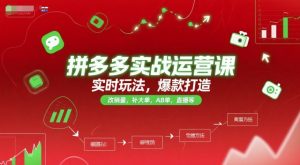 拼多多实战运营课,实时玩法,爆款打造,改销量,补大单,AB单,直播等(更新2025月)-风淘社