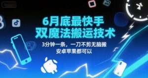 6月底最新快手双魔法搬运技术，3分钟一条，一刀不剪无脑搬，安卓苹果都可以-风淘社