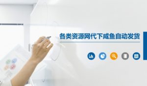 各类资源网代下咸鱼自动发货-风淘社