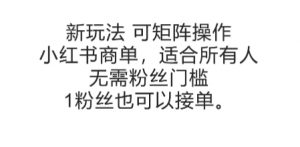 可矩阵操作,小红书商单新玩法,适合所有人,无需粉丝门槛,1粉丝也可以接单-风淘社