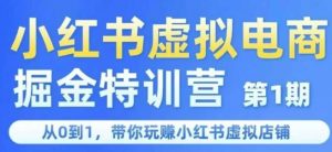 小红书虚拟电商掘金特训营第1期,从0到1,带你玩转小红书虚拟店铺-风淘社