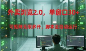 外卖浏览2.0，单窗口30+可矩阵无限多开，脚本全自动运行【揭秘】-风淘社
