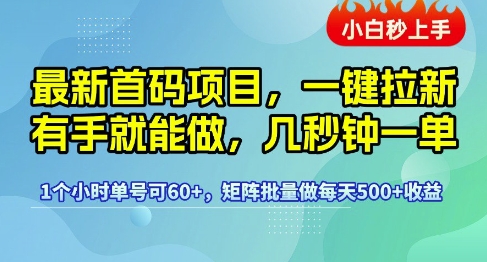 最新首码项目,一键拉新有手就能做,几秒钟一单,1个小时单号可60+,矩阵批量做每天5张【揭秘】-风淘社