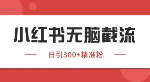 小红书截流同行客源,独家野路子获客玩法 日引200+暴力获客【揭秘】-风淘社