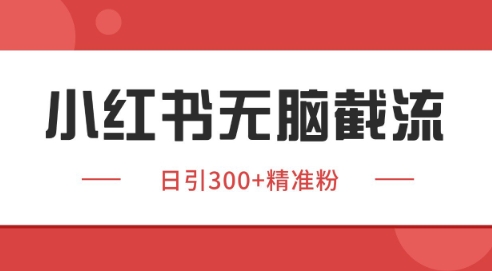 小红书截流同行客源,独家野路子获客玩法 日引200+暴力获客【揭秘】-风淘社