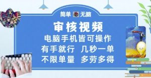 审核视频,电脑手机皆可操作,有手就行,几秒一单,不限单量,多劳多得【揭秘】-风淘社